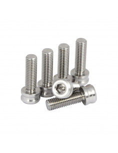 Set 6 Vis M8 Titane Pride Racing - Silver