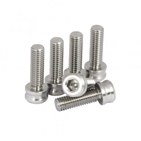 Set 6 Vis M8 Titane Pride Racing - Silver