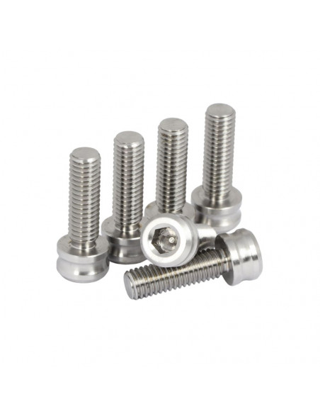 Set 6 Vis M8 Titane Pride Racing - Silver