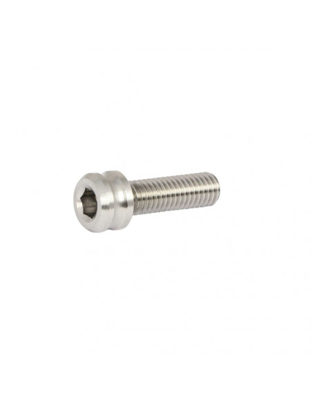 Set 6 Vis M8 Titane Pride Racing - Silver