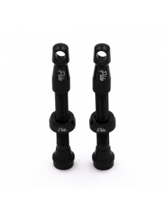 Valves Tubeless Pride...